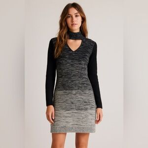Papillon Blanc High Neck Knit Sweater Dress Grey Black Size X Large NWT